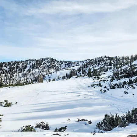 Dachsteinblick By Interhome Forstau (Salzburg)