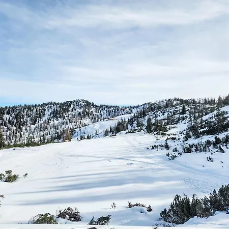 Dachsteinblick By Interhome Appartement