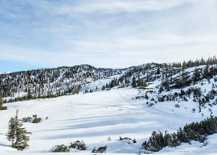 Dachsteinblick By Interhome Forstau (Salzburg)