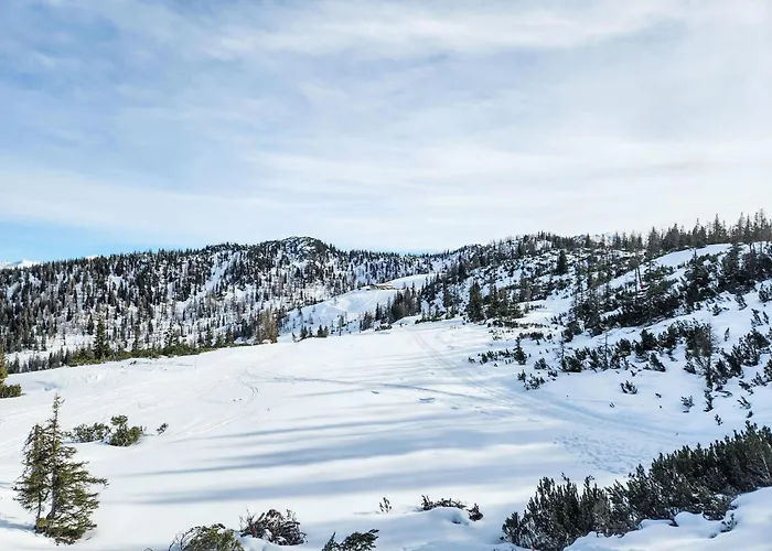 Dachsteinblick By Interhome Appartement
