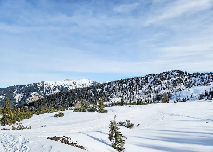 Dachsteinblick By Interhome Appartement Forstau (Salzburg)